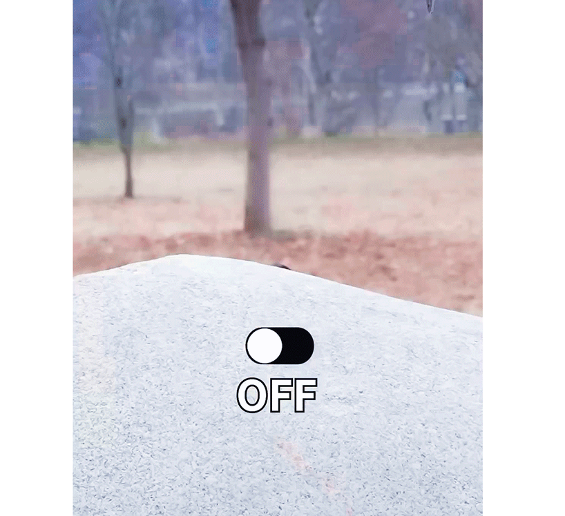 ALbDNA.gif