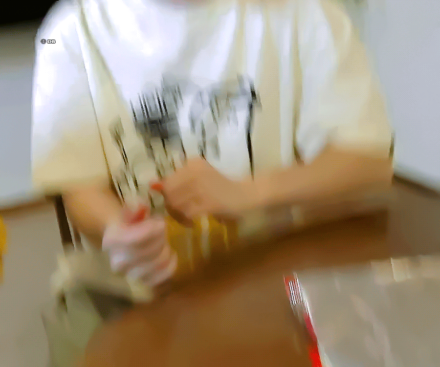 ANTpLR.gif