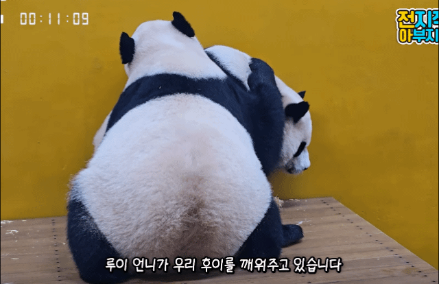 AShnTQ.gif