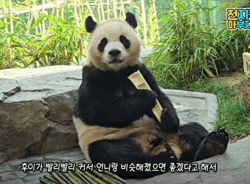 AVxEFH.gif
