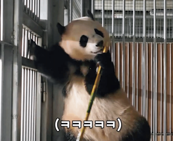 AbHjpj.gif