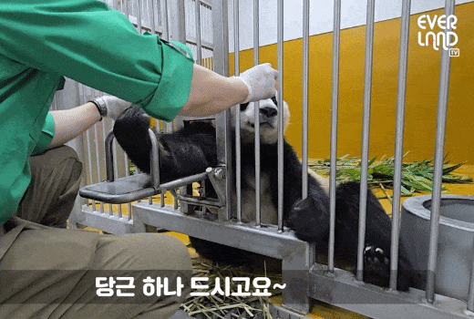 AcHzUI.gif