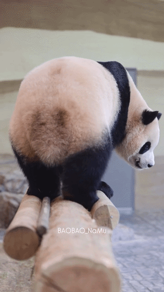 AgqstP.gif