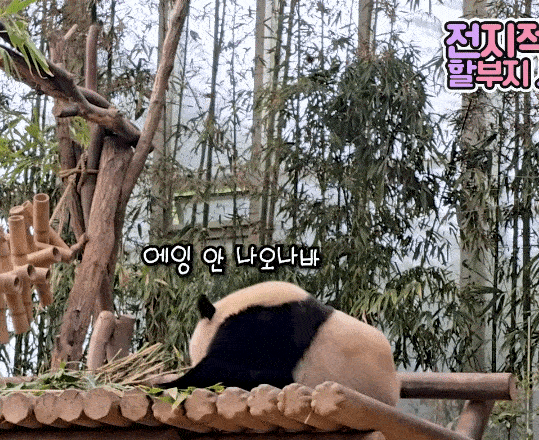 AnpIGJ.gif