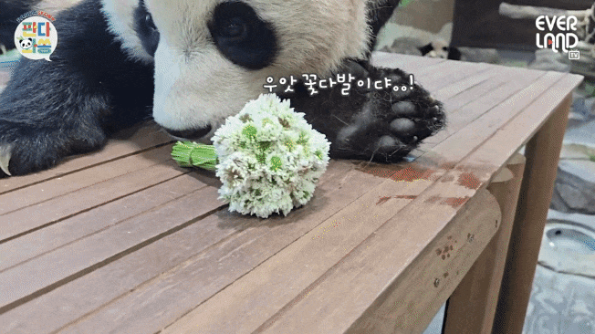 Apzkhf.gif