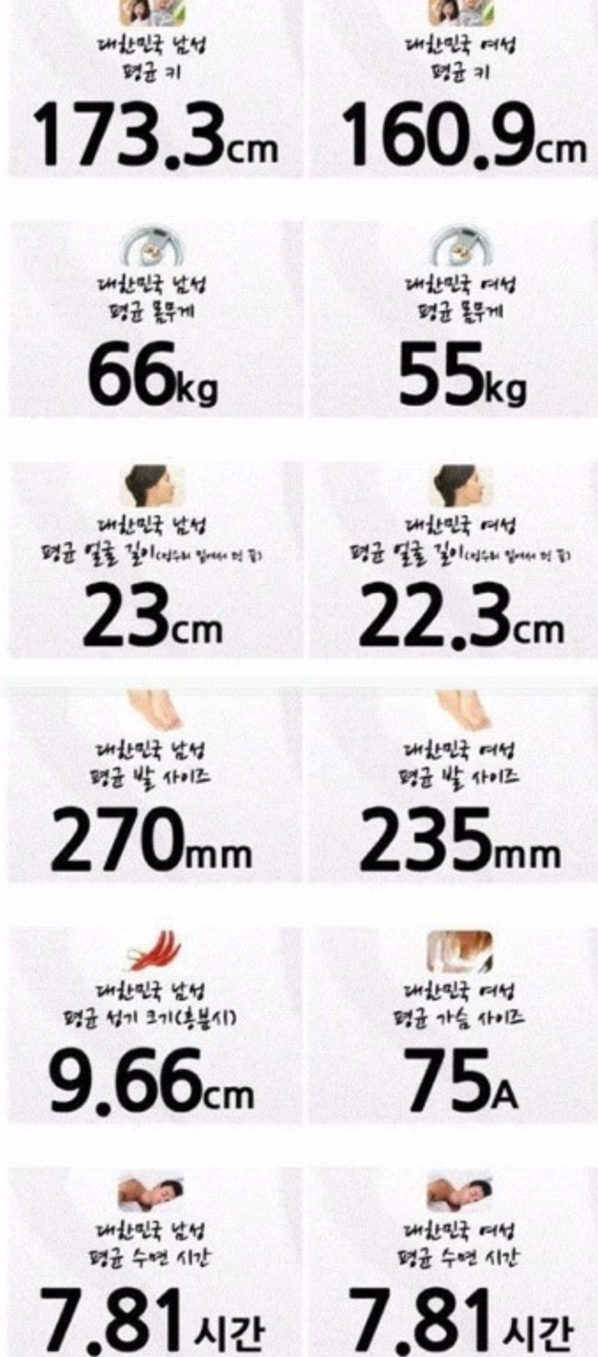 더쿠 이미지 보기