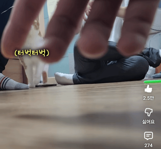 AxyQLZ.gif