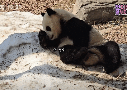 BBXXUs.gif