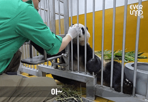 BGqRDU.gif