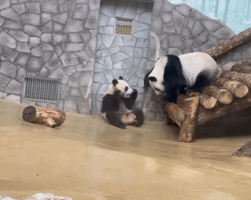 BHDudL.gif