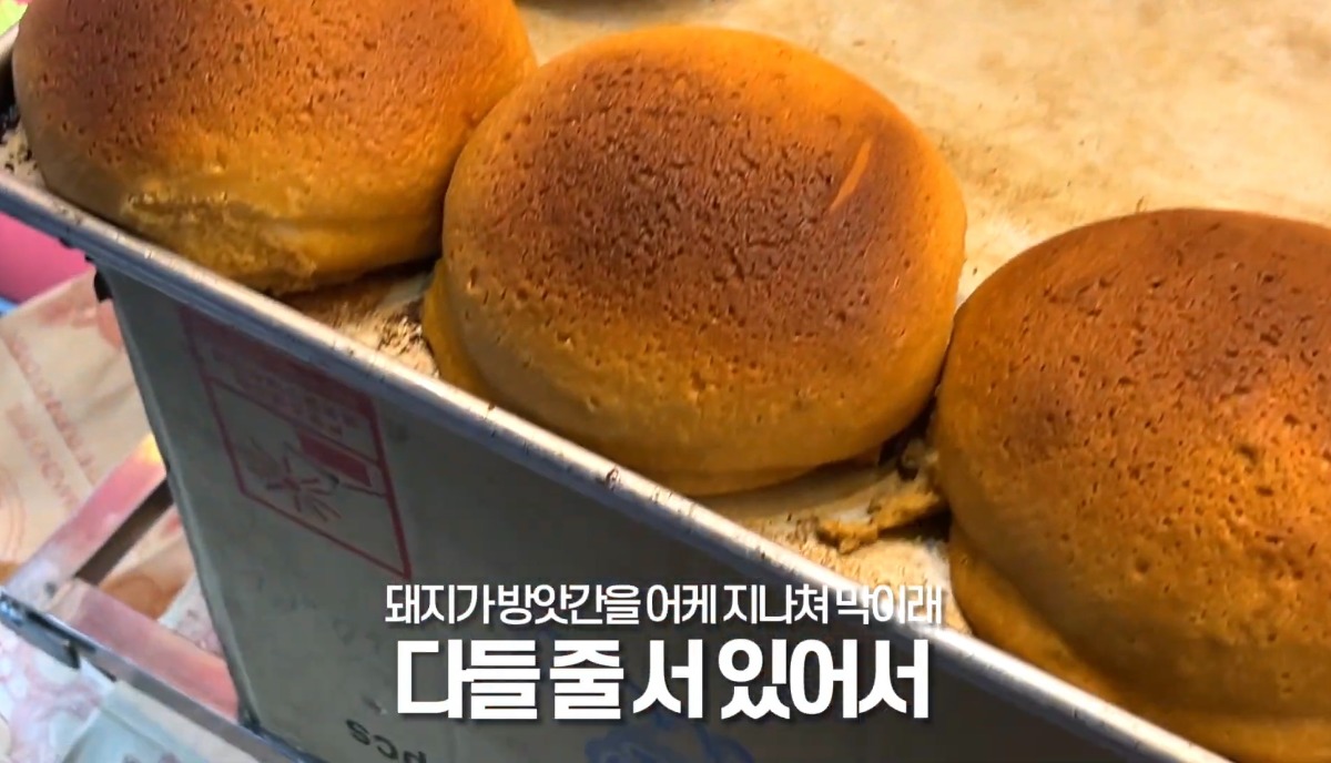 더쿠 - INFJ가 보다가 문화충격 받은 어느 초긍정 유튜버(E,P 100% 추정)의 하노이 여행 브이로그