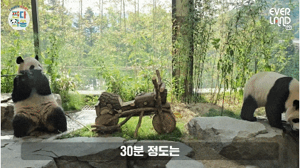 BIphsz.gif
