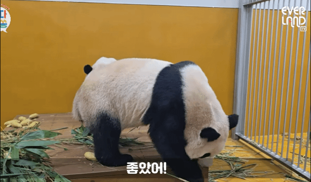 BKzOsL.gif