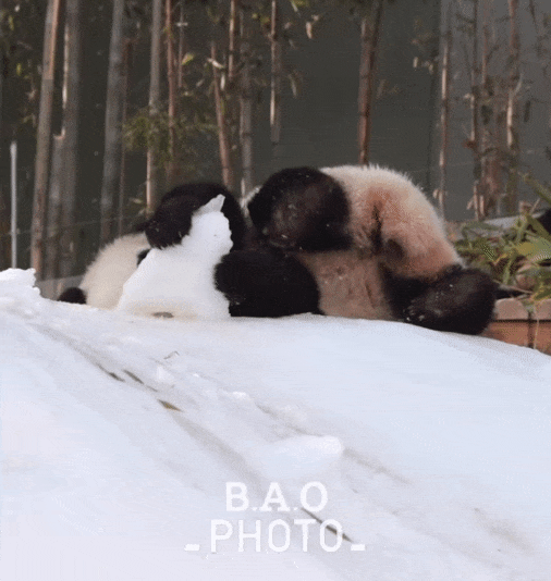 BNloPT.gif