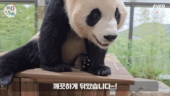 BOcfgf.gif