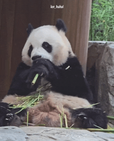 BPOFpy.gif
