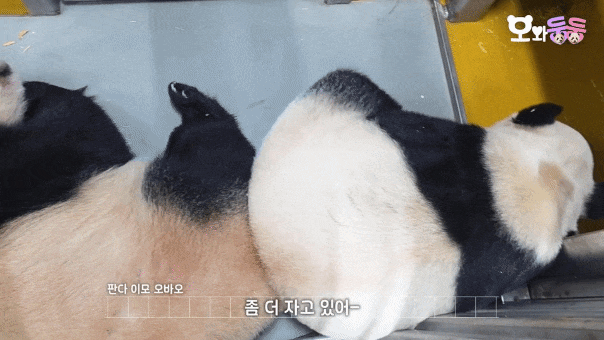 BTolIa.gif