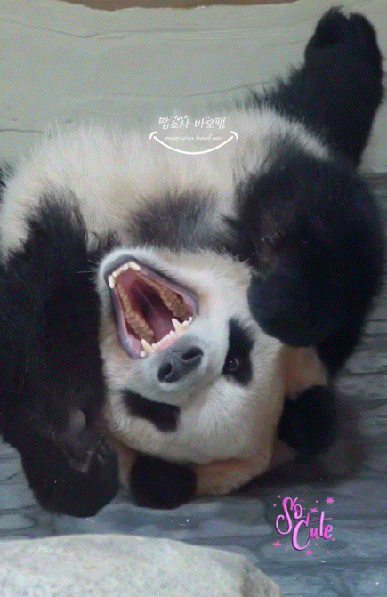 BWRNTv.gif