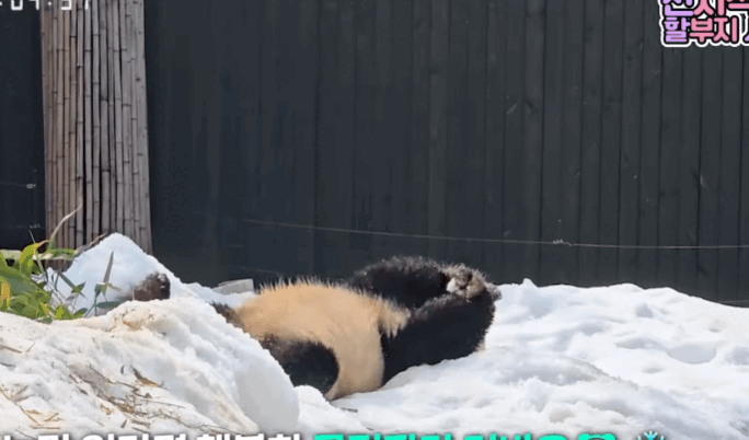 BeHqCI.gif