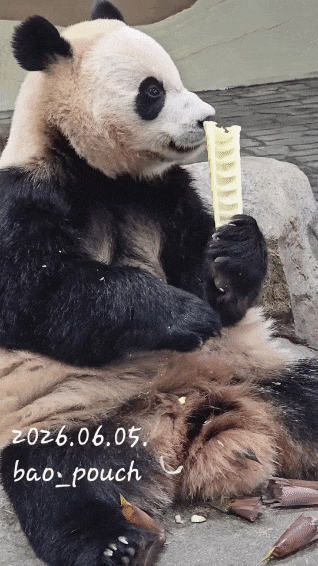 BephbV.gif