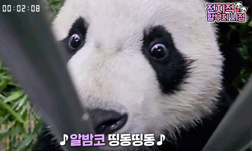BiowuQ.gif