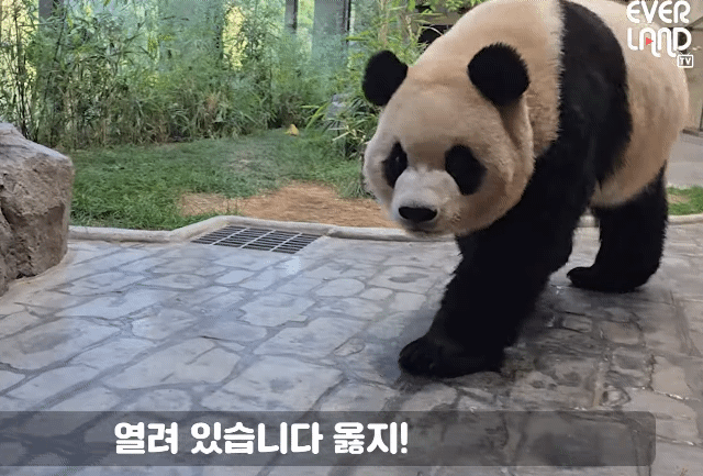 BjKhvh.gif