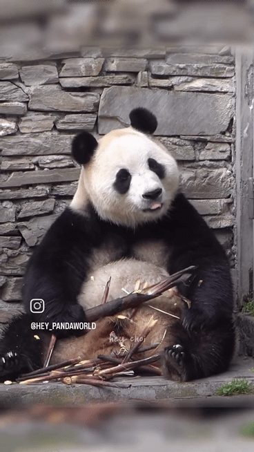 BrCPrp.gif
