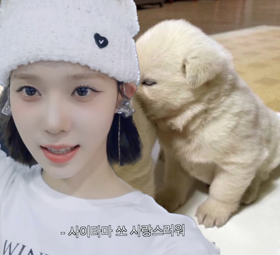 더쿠 - 꼬순내 흡입하는 강쥐짤 공유!!