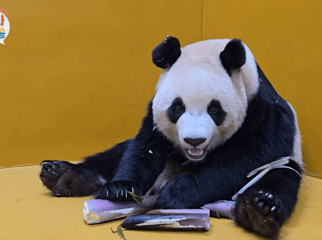 CLAqZw.gif