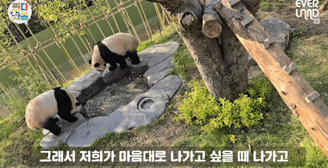 CMgyuC.gif