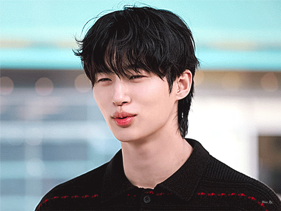 CNGSGr.gif