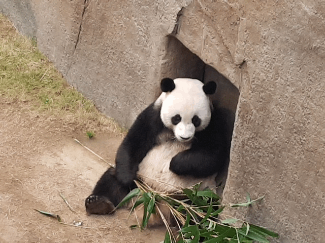 CNvryP.gif