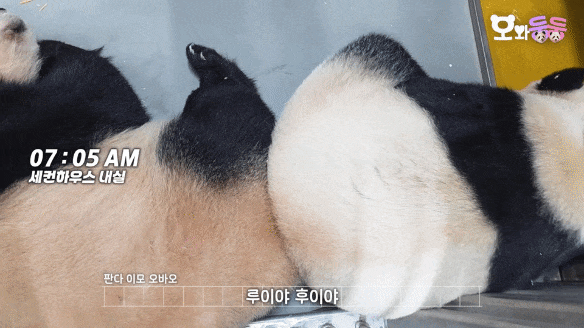 CdgvRQ.gif