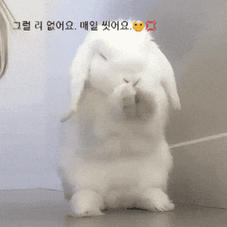 CfvGuy.gif