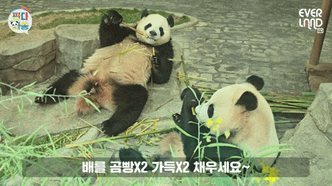 CiLFwz.gif