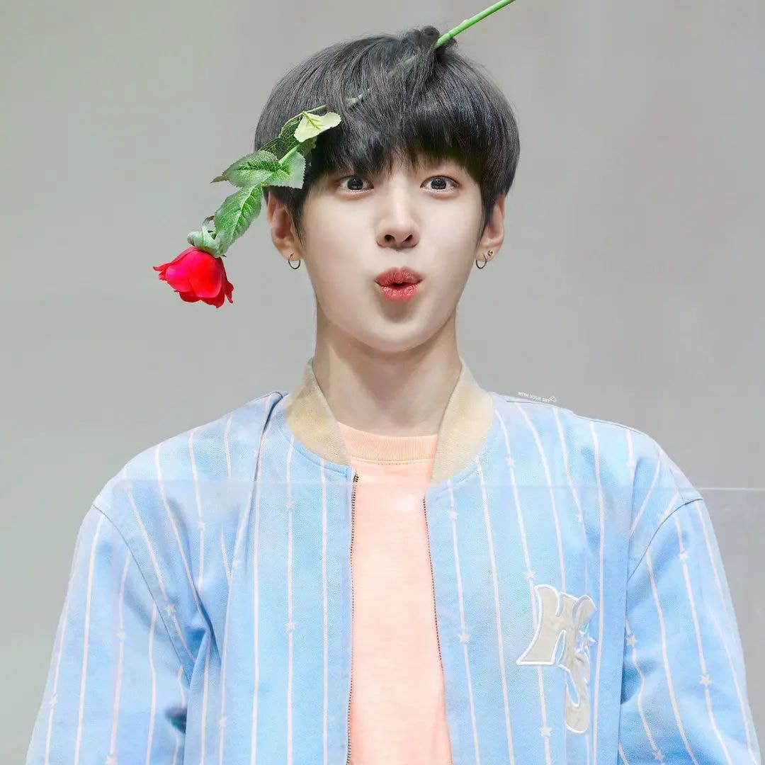 더쿠 이미지 보기