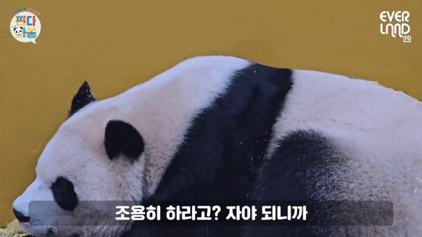 CssMge.gif