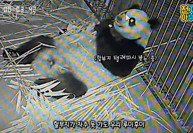 CxYNuL.gif