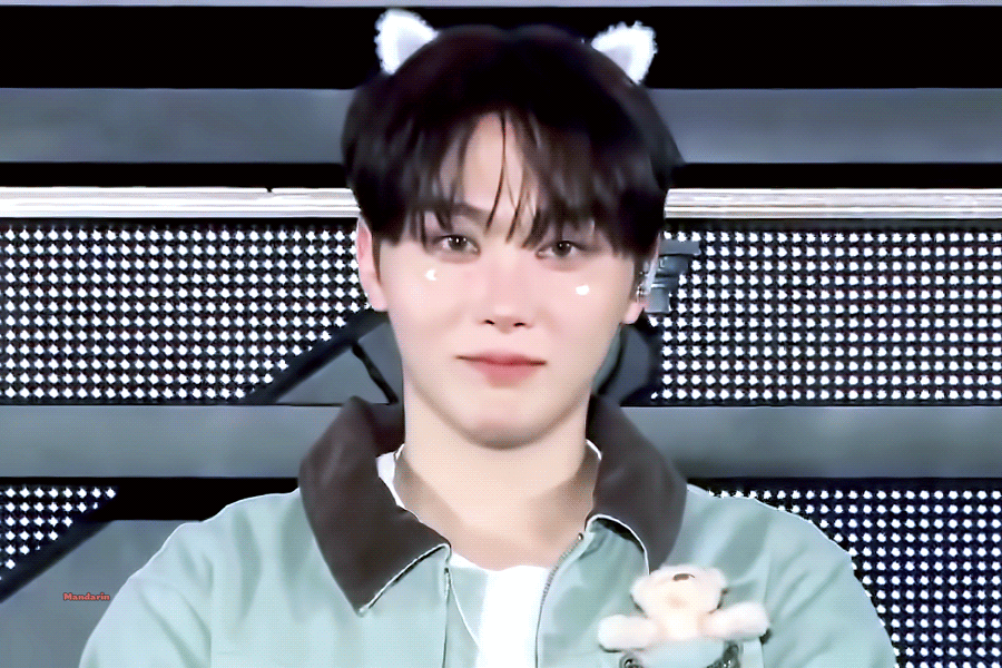 DNFeFi.gif