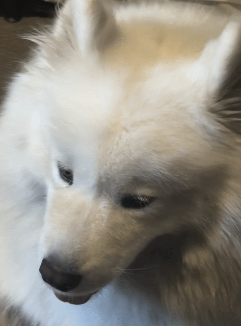 DQvyhO.gif