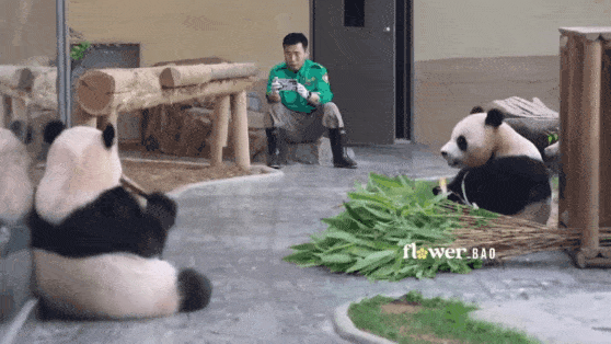 DTbTjo.gif