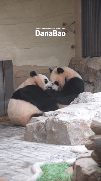 DXAVIU.gif