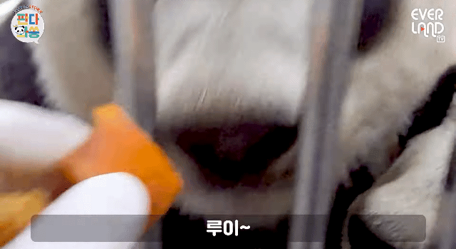 DarbXz.gif