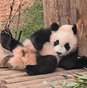 DsIisj.gif