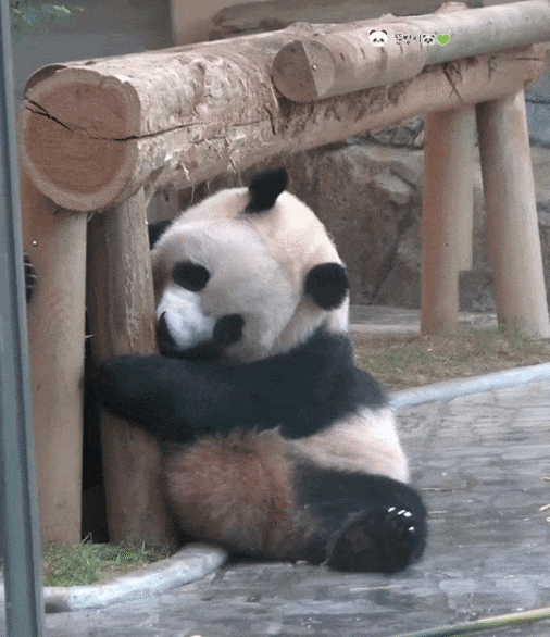 DthjNR.gif