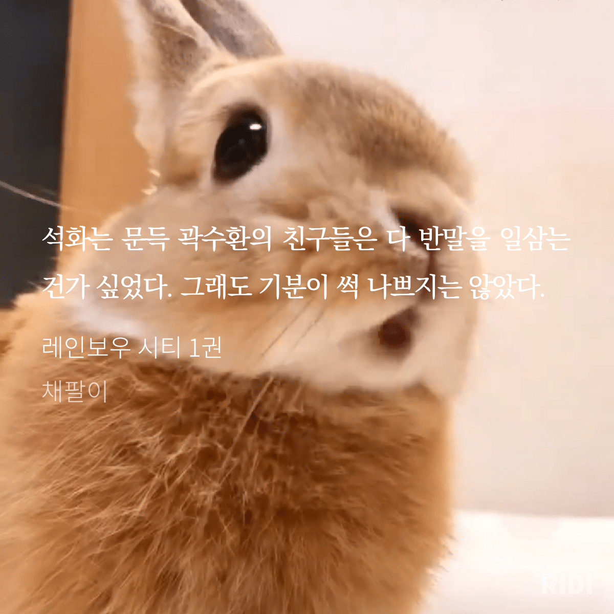 EHrKR