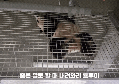 EIvkOT.gif
