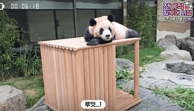 EJprBW.gif