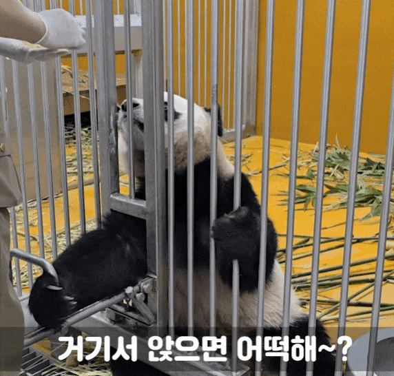 EOrBDr.gif
