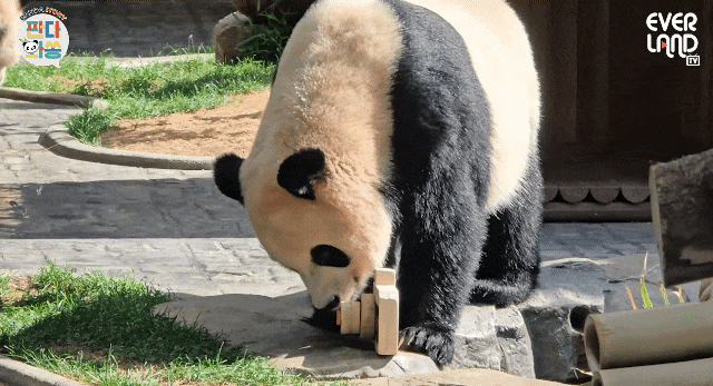 ESzxQg.gif